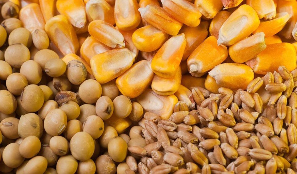 اولویت تخصیص ارز نهاده‌های دامی با معرفی‌نامه شرکت پشتیبانی امور دام